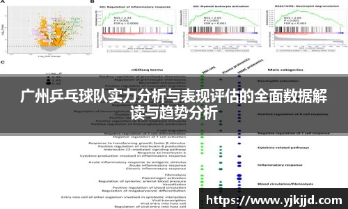 广州乒乓球队实力分析与表现评估的全面数据解读与趋势分析